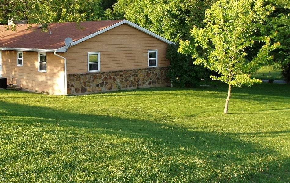 Pourquoi choisir le gazon synthétique pour son jardin ?